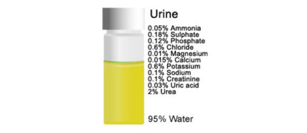 Human Urine as Natural Fertiliser – ParasUniversal