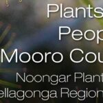 Plants and People in Mooro Country