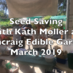 Seed Saving with Kath Moller at Duncraig Edible Garden March 2019