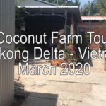 Coconut Farm Tour & Making Rice Paper … and More – Vietnam March 2020