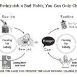 The Power of Habit (Summary) – Charles Duhigg