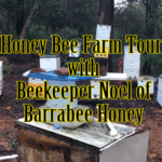 Honey Bee Farm Tour and Aquaponic Setup with Beekeeper Noel of Barrabee Honey