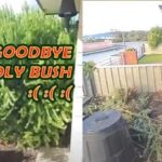 Garden and Worm Compost Bins Vlog May – Aug 2024